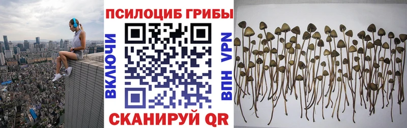 Псилоцибиновые грибы прущие грибы  как найти наркотики  Майский 