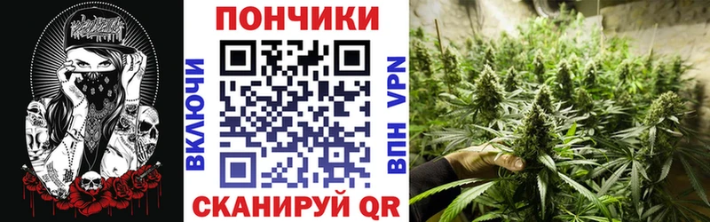 Бошки Шишки OG Kush  закладки  Майский 
